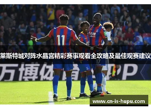莱斯特城对阵水晶宫精彩赛事观看全攻略及最佳观赛建议 莱斯特城对阵水晶宫精彩赛事观看全攻略及最佳观赛建议
