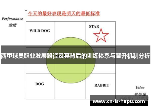 西甲球员职业发展路径及其背后的训练体系与晋升机制分析