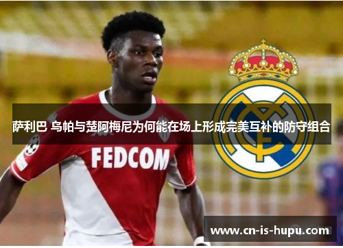 萨利巴 乌帕与楚阿梅尼为何能在场上形成完美互补的防守组合