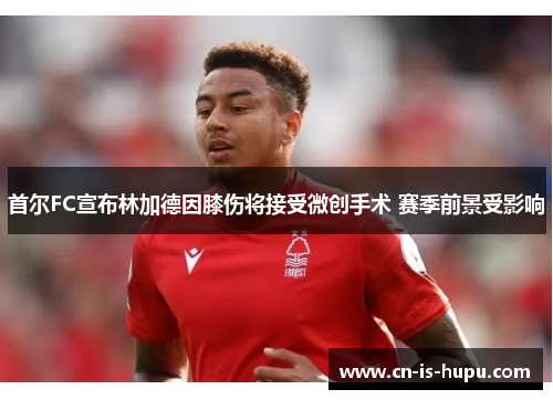 首尔FC宣布林加德因膝伤将接受微创手术 赛季前景受影响